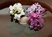 Rocks, Flowers, and Water - 36