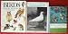 Books : Familiar Garden Birds of America, American Birds Ninety-Second Christmas Bird Count, Birds Their Ways Their World Lot of 3 Books