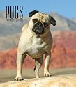 Pugs 2009 Hardcover Weekly Engagement Calendar