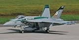 Hasegawa 1/72 F/A-18E スーパーホーネット “チッピーHo”