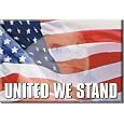 (2x3) USA United We Stand American Flag Locker Refrigerator Magnet