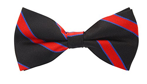 Scott Allan Mens Silk Twin Stripe Bow Tie