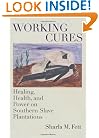 Working Cures: Healing, Health, and Power on Southern Slave Plantations
