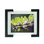 Nexxt by Linea VL1114B Lex  11x14, Black, Frame