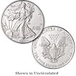 1991 American Silver Eagle 1oz Uncirculated Bullion Coin