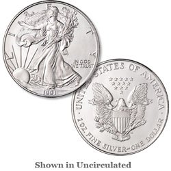 1991 American Silver Eagle 1oz Uncirculated Bullion Coin