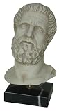 Hippocrates Ancient Greek Physician Bust