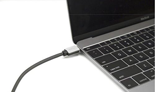 USB Type C Cable 3.3ft (Gray)