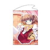 プリンセスパーティー 特大タペストリー