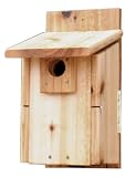 Stovall 2HUW Western Mountain Bluebird House