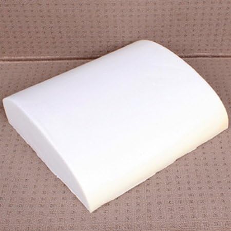 SevenOne Portable Retro Birds High Quality Memory Foam Back Cushion for Car Seats, Office Computer Seats,sofa and Other Chairs