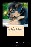 How to Raise and Train your Rottweiler Puppy or Dog  to be Great