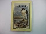 Hawks