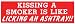 KISSING A SMOKER IS LIKE LICKING AN ASHTRAY!! decal bumper sticker