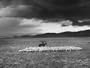 Rancher Herding Sheep at El Condor Sheep Ranch Photographic Poster Print by Leonard Mccombe, 24x18