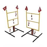 Wild Sales San Francisco 49ers Tailgate Golf Toss Game