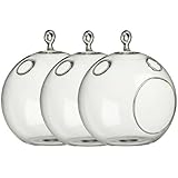 3 X WGV Glass Hanging Plant Terrarium/Votive Holder, 4.5"