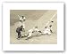 Jackie Robinson by Corbis-Bettmann 11.5