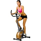 Marcy Upright Mag Bike