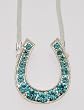 Large Rhinestone Horseshoe Necklace, Turquoise