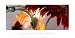 Gerbera Daisies I - Art Print (By Huntington Witherill) (Size: 36: x 18")