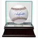Steiner Baseball Glass Display Case