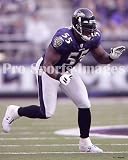 Terrell Suggs Baltimore Ravens 8x10 Photo