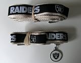 Oakland Raiders Premium Pet Set Dog Leash Collar ID Tag SMALL