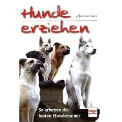 Hunde erziehen: So arbeiten die besten Hundetrainer