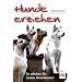 Hunde erziehen: So arbeiten die besten Hundetrainer
