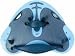 Sports : SPEEDO BioFUSE Finger Paddle
