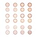 Darice 1219-583 My Family Recipes Labels-Round-Red Gingham