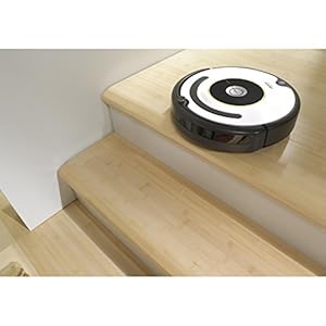 iRobot Roomba 620 for cheap