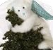 Boyds Bear Angel Gloria Bearhugs Tree or Wreath Hugger 562935