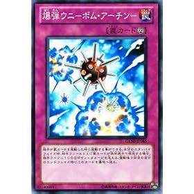 �V�Y���J�[�h �y ���e�E�j-�{���E�A�[�`��- �z GENF-JP065-N �s�W�F�l���[�V�����E�t�H�[�X�t