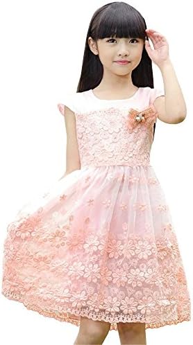 Little Girls Cute Floral Lace Tutu Tulle Party Short Sleeves Dress Pink