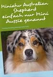 Miniatur Australian Shepherd: Training Grooming Zucht und vieles mehr