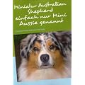Miniatur Australian Shepherd: Training Grooming Zucht und vieles mehr