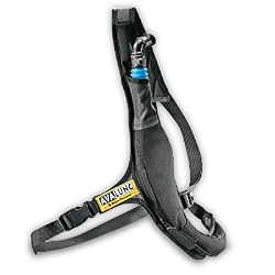Black Diamond Avalung II Sling