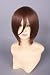 CosplayerWorld Cosplay Wig Brown 34cm 13.5¡± Cosplay Wig Fashion Girls and Boys Anime Wig Party Wi