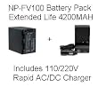 Sony NP-FV100 5 Hour Replacement Battery + Rapid AC/DC Battery Charger For The Sony DCR-SX44 DCR-SX63 DCR-SX83 DCR-SR68 DCR-SR88 SONY HDR-CX110 HDR-CX150 HDR-CX300 HDR-CX350 HDR-CX500V HDR-CX550V HDR-CXR150 XR350V XR550V