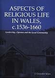 Aspects of religious life in Wales, c.1536-1660 : leadership, opinion and the local community