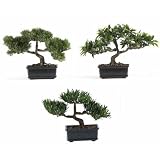 41Khh8YuG7L. SL160  12 Inch Bonsai Silk Plant Collection (Set of 3)