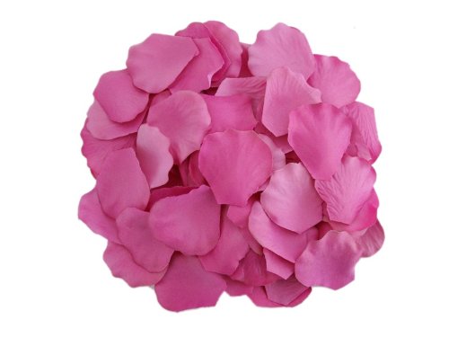 4000 Silk Rose Artificial Petals Supplies Wedding Decorations - Fuchsia