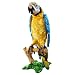 Hasbro - peluche - Mambo le Perroquet
