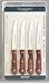 Tramontina 4 Piece Polywood Sharp Tip Steak Knife Set