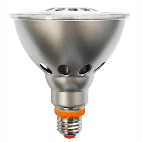 10 Watt - LED Parfection LP10566F