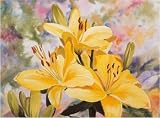 12X16 inch Penney Jacqueline Portrait Of A Lily Canvas Art Repro