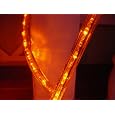 25Ft Rope Lights; 3Wires Orange Chasing LED Rope Light Kit; Christmas Lighting; outdoor rope lighting