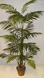 7 1/2' Tropical Butterfly Palm Tree
